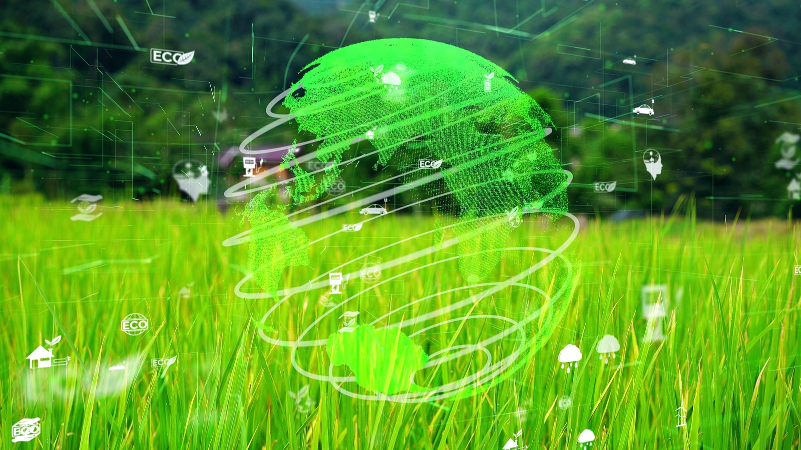 Carbon Footprint